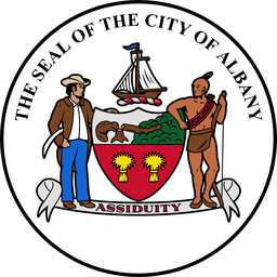 Albany NY 311 logo